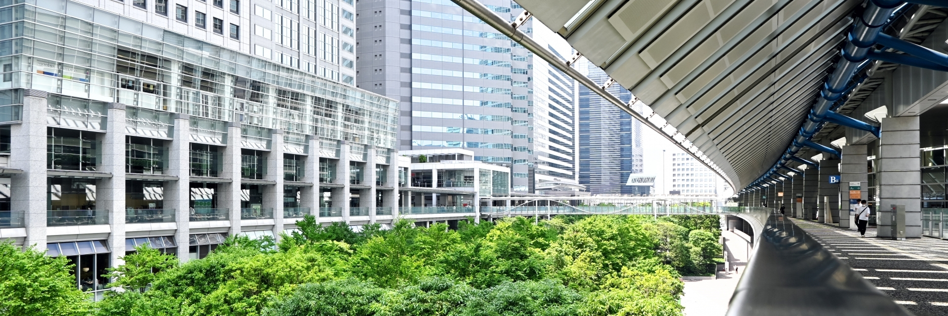 にしや耳鼻咽喉科クリニック,港区,品川駅,アレルギー