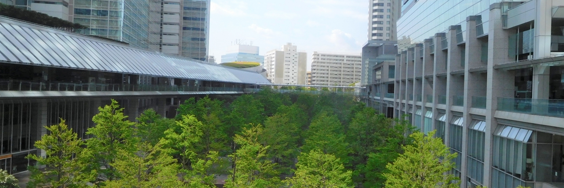にしや耳鼻咽喉科クリニック,港区,品川駅,アレルギー